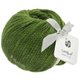 Lana Grossa LANDLUST MERINO 120 | 117-verde