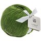 Lana Grossa LANDLUST MERINO 180 | 217-verde