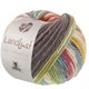 Lana Grossa LANDLUST Naturwolle Print | 105-rojo variopinto