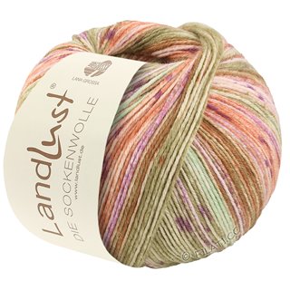 Lana Grossa LANDLUST DIE SOCKENWOLLE 150g 6-Ply
