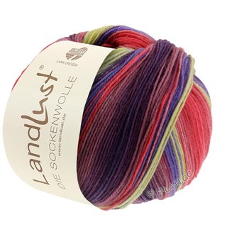 Lana Grossa LANDLUST DIE SOCKENWOLLE