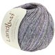 Lana Grossa LANDLUST SOMMERSEIDE Mélange | 103-antracita/purpura/octanaje