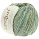 Lana Grossa LANDLUST SOMMERSEIDE Mélange | 105-verde turquesa mezcla