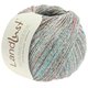 Lana Grossa LANDLUST SOMMERSEIDE Mélange | 107-gris verde mezcla