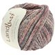 Lana Grossa LANDLUST SOMMERSEIDE Mélange | 108-gris rojo mezcla