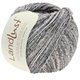 Lana Grossa LANDLUST SOMMERSEIDE Mélange | 114-gris marrón/gris beige mezcla