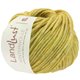 Lana Grossa LANDLUST WINTERWOLLE | 01-amarillo limón mezcla
