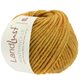 Lana Grossa LANDLUST WINTERWOLLE | 02-amarillo miel mezcla