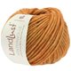 Lana Grossa LANDLUST WINTERWOLLE | 03-naranja mezcla
