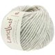 Lana Grossa LANDLUST WINTERWOLLE | 10-naturaleza mezcla