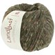 Lana Grossa LANDLUST WINTERWOLLE Tweed | 103-verde musgo mezcla