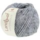 Lana Grossa LANDLUST WINTERWOLLE Tweed | 105-azul claro mezcla