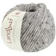 Lana Grossa LANDLUST WINTERWOLLE Tweed | 106-gris claro mezcla