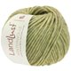 Lana Grossa LANDLUST WINTERWOLLE | 12-verde lima mezcla