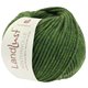Lana Grossa LANDLUST WINTERWOLLE | 14-verde musgo mezcla