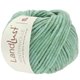 Lana Grossa LANDLUST WINTERWOLLE | 17-menta mezcla