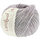 Lana Grossa LANDLUST WINTERWOLLE | 22-lila mezcla