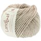 Lana Grossa LANDLUST WINTERWOLLE | 24-taupe mezcla