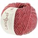Lana Grossa LANDLUST WINTERWOLLE | 29-rojo mezcla