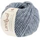 Lana Grossa LANDLUST WINTERWOLLE | 35-azul claro mezcla