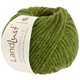 Lana Grossa LANDLUST WINTERWOLLE | 36-manzana verde mezcla