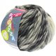 Lana Grossa LEI Mouliné/Color Mix/Spray (Ragazza) | 257-color crudo/gris claro/gris medio/antracita
