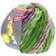 Lana Grossa LEI Tweed Color (Ragazza) | 402-gris azulado/verde/rojo violeta mezcla