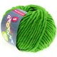 Lana Grossa LEI | 061-verde veneno mezcla
