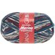 Lana Grossa MEILENWEIT 6-FACH 150g Merino Print | 9123-