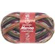 Lana Grossa MEILENWEIT 6-FACH 150g Merino Print | 9169-