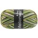 Lana Grossa MEILENWEIT 6-FACH 150g Soft | 9659-