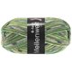 Lana Grossa MEILENWEIT 6-FACH 150g Yoga | 9535-