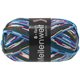 Lana Grossa MEILENWEIT 8-FACH 150g Country | 9931-