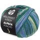 Lana Grossa MEILENWEIT 100g Alpaca Poncho | 2725-