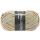 Lana Grossa MEILENWEIT 100g Anello | 4261-