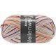 Lana Grossa MEILENWEIT 100g Anello | 4262-