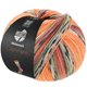 Lana Grossa MEILENWEIT 100g Cashmere Pista | 141-naranja/gris claro/gris oscuro/marrón anaranjado/verde claro/brezo/zarzamora/gris marrón rayado