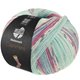 Lana Grossa MEILENWEIT 100g Cashmere Pista | 142-menta/turquesa/blanco/gris/azul claro/fucsia rayado