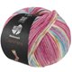 Lana Grossa MEILENWEIT 100g Cashmere Pista | 146-fucsia oscuro/blanco/ocre/turquesa/azul claro rayado