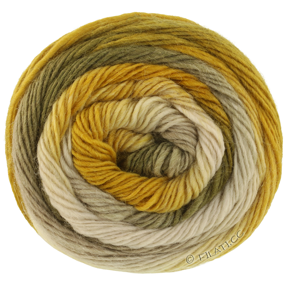 MEILENWEIT 100g Color Mix Soft de Lana Grossa