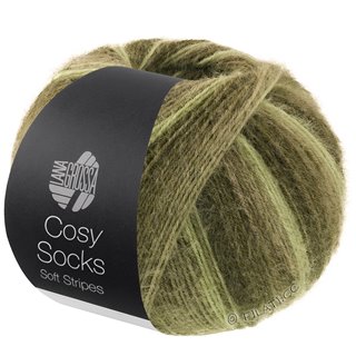 Lana Grossa MEILENWEIT 100g Cosy Socks Soft Stripes