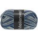 Lana Grossa MEILENWEIT 100g Blue Denim Mix | 4606-gris plata/gris claro/gris oscuro/gris azul/azul noche/jeans