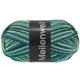 Lana Grossa MEILENWEIT 100g Intenso | 5532-lago verde/verde mar profundo/gris plata/octanaje/azul octanaje/verde octanaje/verde delicado