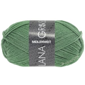 Lana Grossa MEILENWEIT 50g | 1377-gris verde
