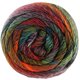 Lana Grossa MEILENWEIT 100g Rainbow | 6410-herrumbre/grafito/rojo oscuro/gris verde/verde hoja/verde bosque/naranja/burdeos/caramelo/rojo