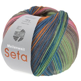 Lana Grossa MEILENWEIT 100g Seta Asia