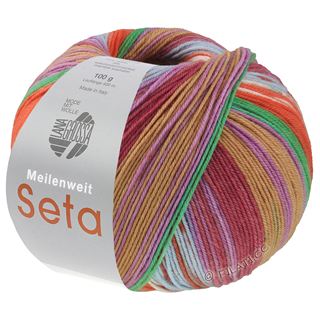 Lana Grossa MEILENWEIT 100g Seta Hokkaido