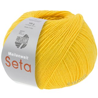 Lana Grossa MEILENWEIT 100g Seta