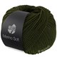 Lana Grossa MERINO SOFT | 16-verde musgo