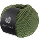 Lana Grossa MERINO SOFT | 17-verde